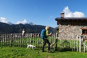 23 Arriviamo alla Baita de mes (di mezzo, 1595 m) di Malga Fratino